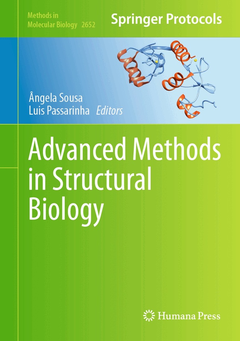 Ângela Sousa, Luis Passarinha - Advanced Methods in Structural Biology, Inbunden