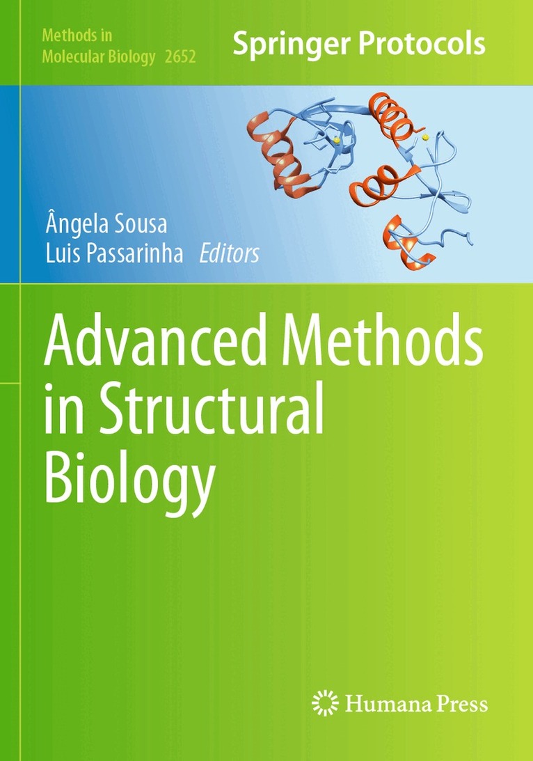 Ângela Sousa, Luis Passarinha - Advanced Methods in Structural Biology, Häftad