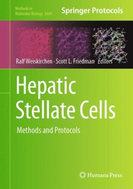 Scott  L. Friedman, Ralf Weiskirchen - Hepatic Stellate Cells, E-bok