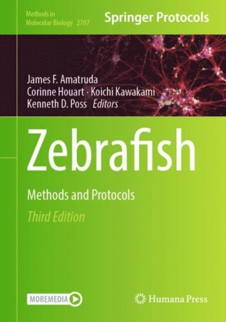 Kenneth D. Poss, Koichi Kawakami, Corinne Houart, James F. Amatruda - Zebrafish, E-bok