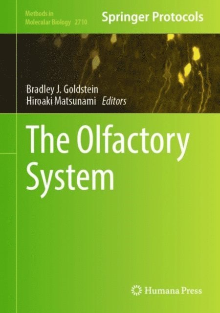 Hiroaki Matsunami, Bradley J. Goldstein - Olfactory System, E-bok