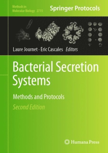 Eric Cascales, Laure Journet - Bacterial Secretion Systems, E-bok