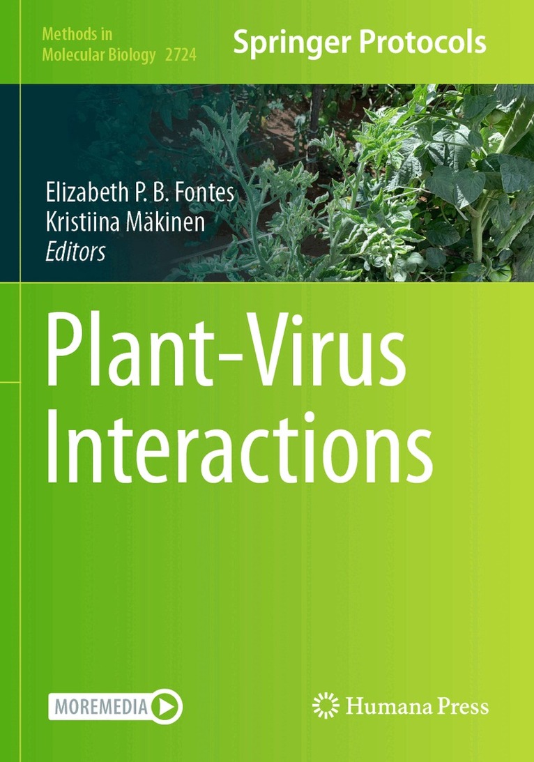 Elizabeth P.B. Fontes, Kristiina Mäkinen - Plant-Virus Interactions, Häftad