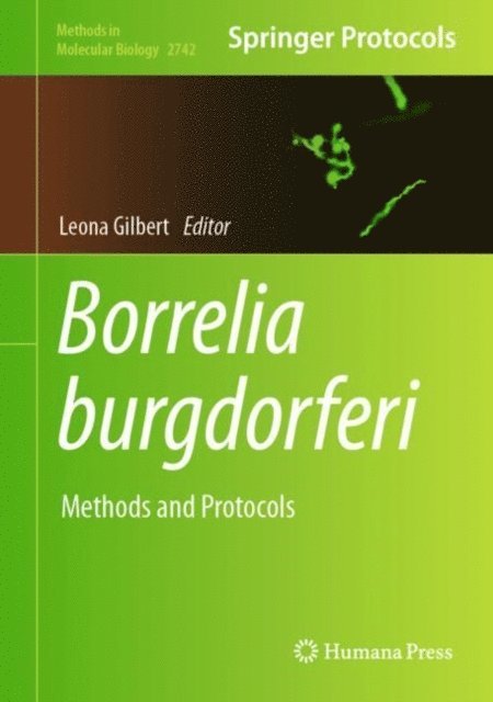 Leona Gilbert - Borrelia burgdorferi, E-bok