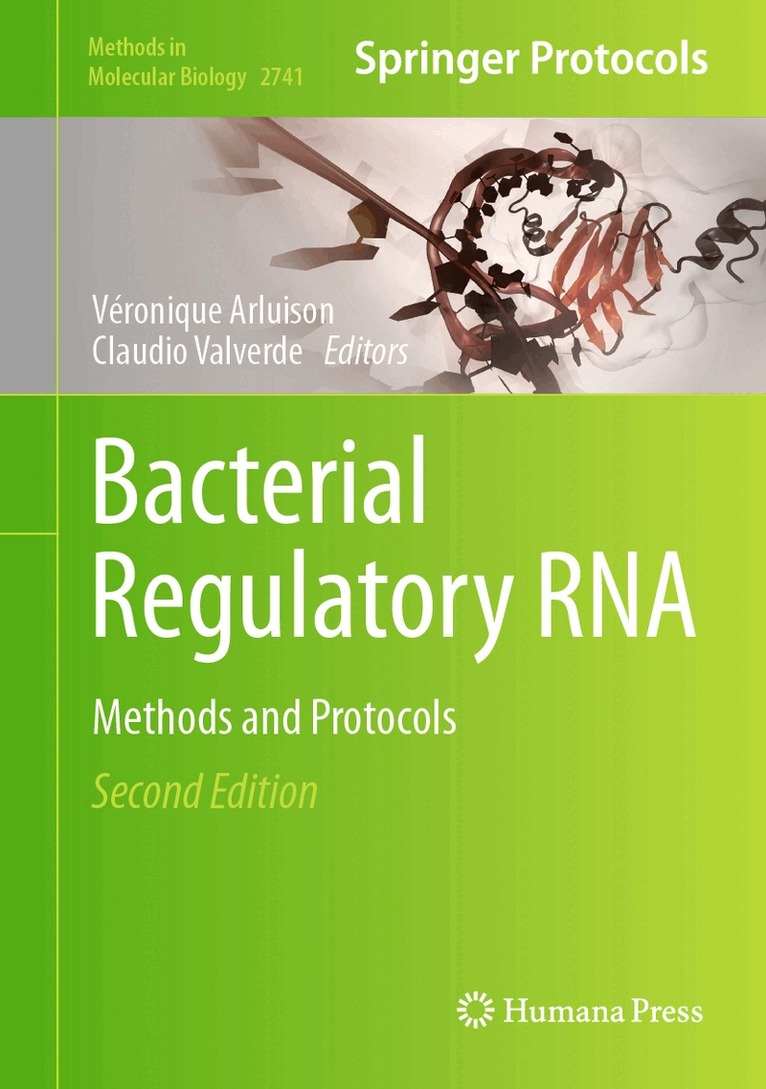 Véronique Arluison, Claudio Valverde - Bacterial Regulatory RNA, Inbunden