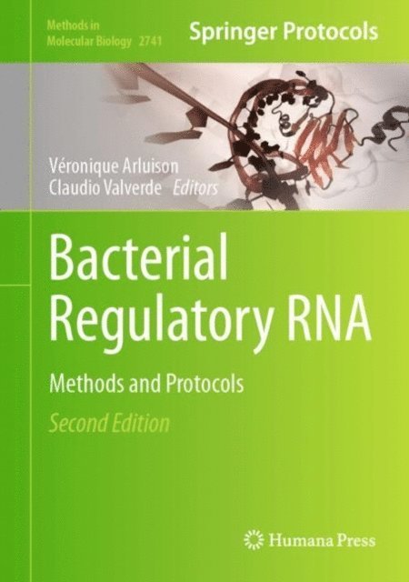 Claudio Valverde, Veronique Arluison - Bacterial Regulatory RNA, E-bok