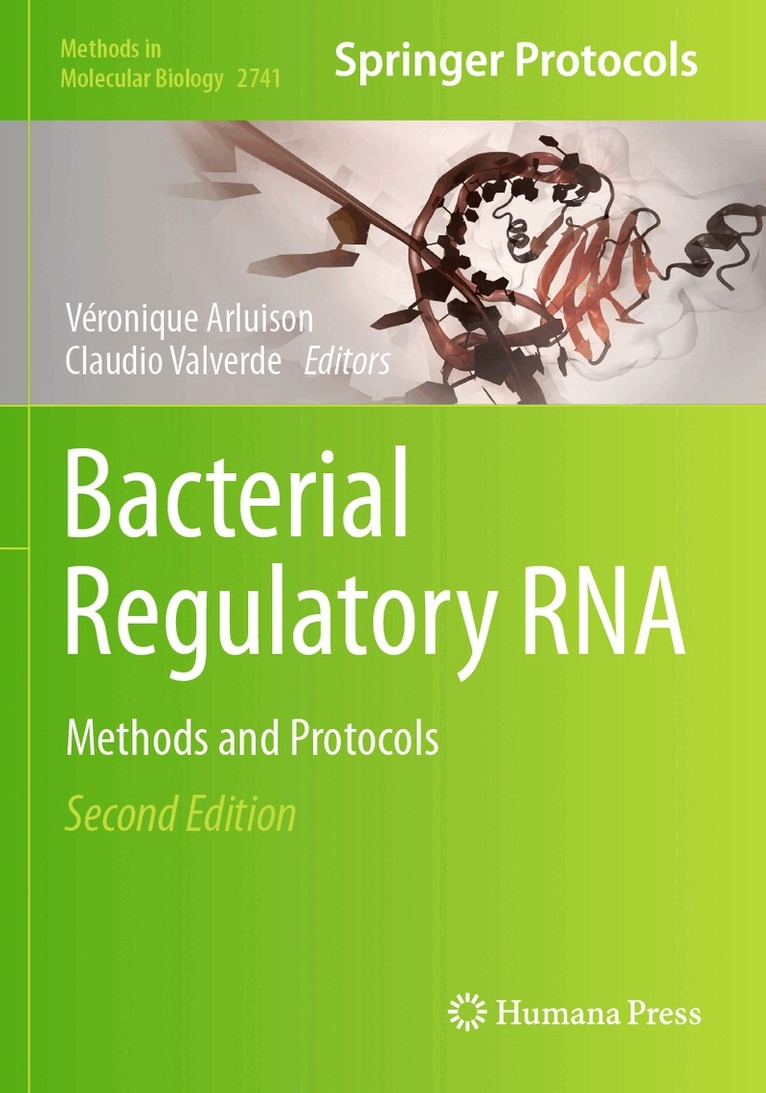 Véronique Arluison, Claudio Valverde - Bacterial Regulatory RNA, Häftad