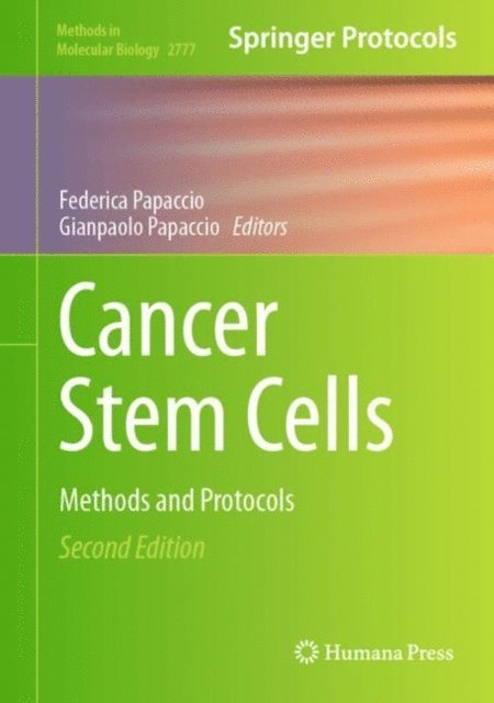 Gianpaolo Papaccio, Federica Papaccio - Cancer Stem Cells, E-bok