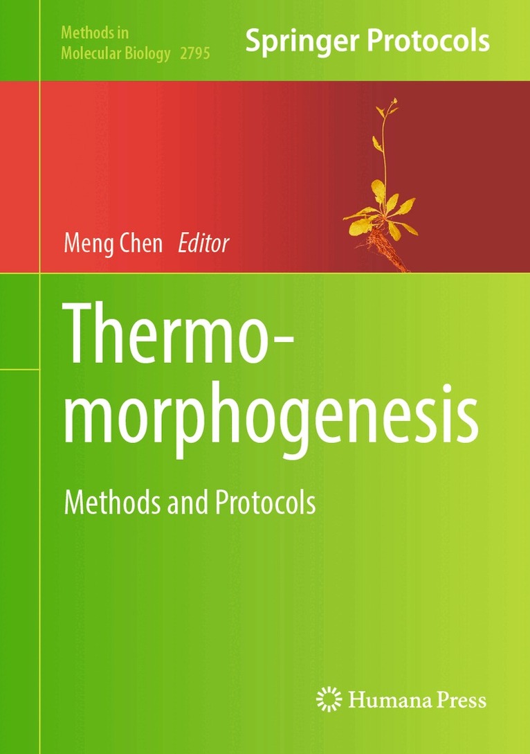 Meng Chen - Thermomorphogenesis, Inbunden