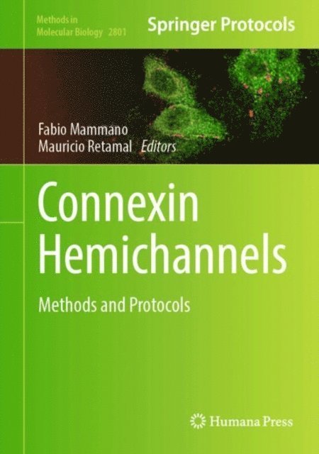 Mauricio Retamal, Fabio Mammano - Connexin Hemichannels, E-bok