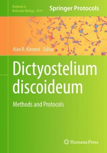 Alan R. Kimmel - Dictyostelium discoideum, E-bok