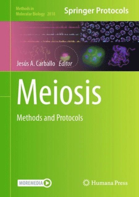 Jesus A Carballo - Meiosis, E-bok