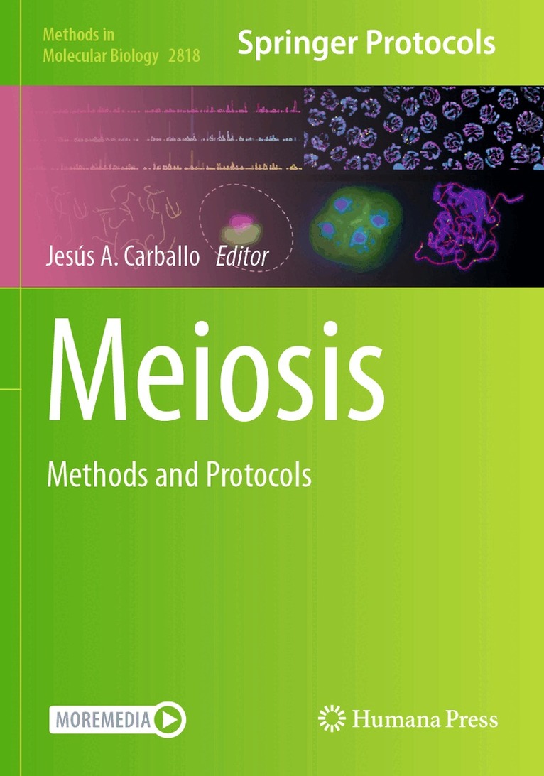 Jesús A Carballo - Meiosis, Häftad