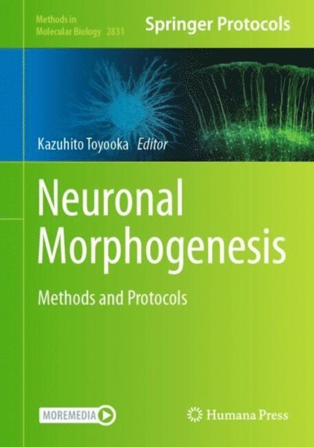 Kazuhito Toyooka - Neuronal Morphogenesis, E-bok