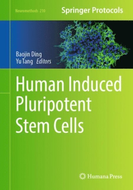 Yu Tang, Baojin Ding - Human Induced Pluripotent Stem Cells, E-bok. Tillgänglighet: Lägg i varukorg