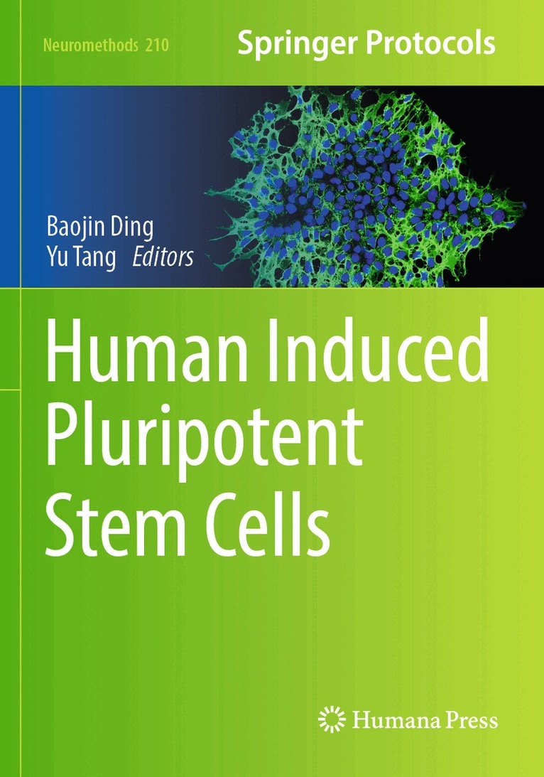 Baojin Ding, Yu Tang - Human Induced Pluripotent Stem Cells, Häftad. Tillgänglighet: Lägg i varukorg