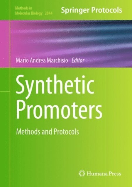 Mario Andrea Marchisio - Synthetic Promoters, E-bok