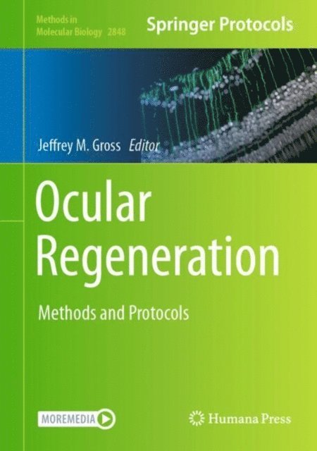 Jeffrey M. Gross - Ocular Regeneration, E-bok
