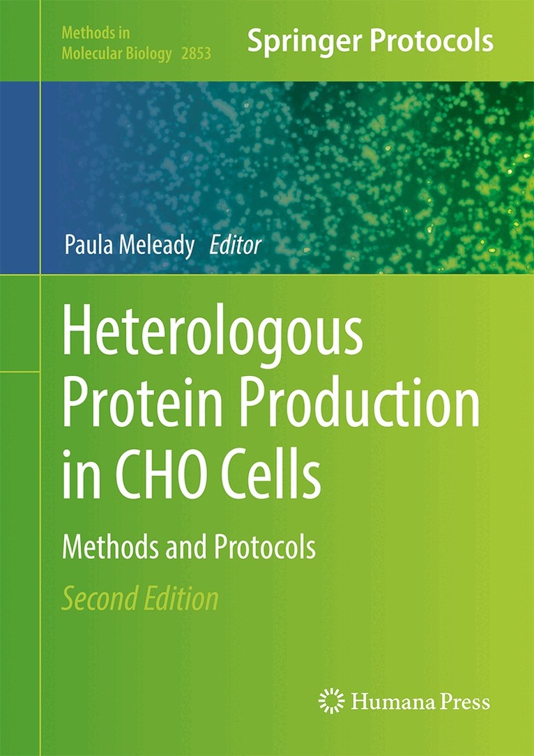 Paula Meleady - Heterologous Protein Production in CHO Cells, Inbunden