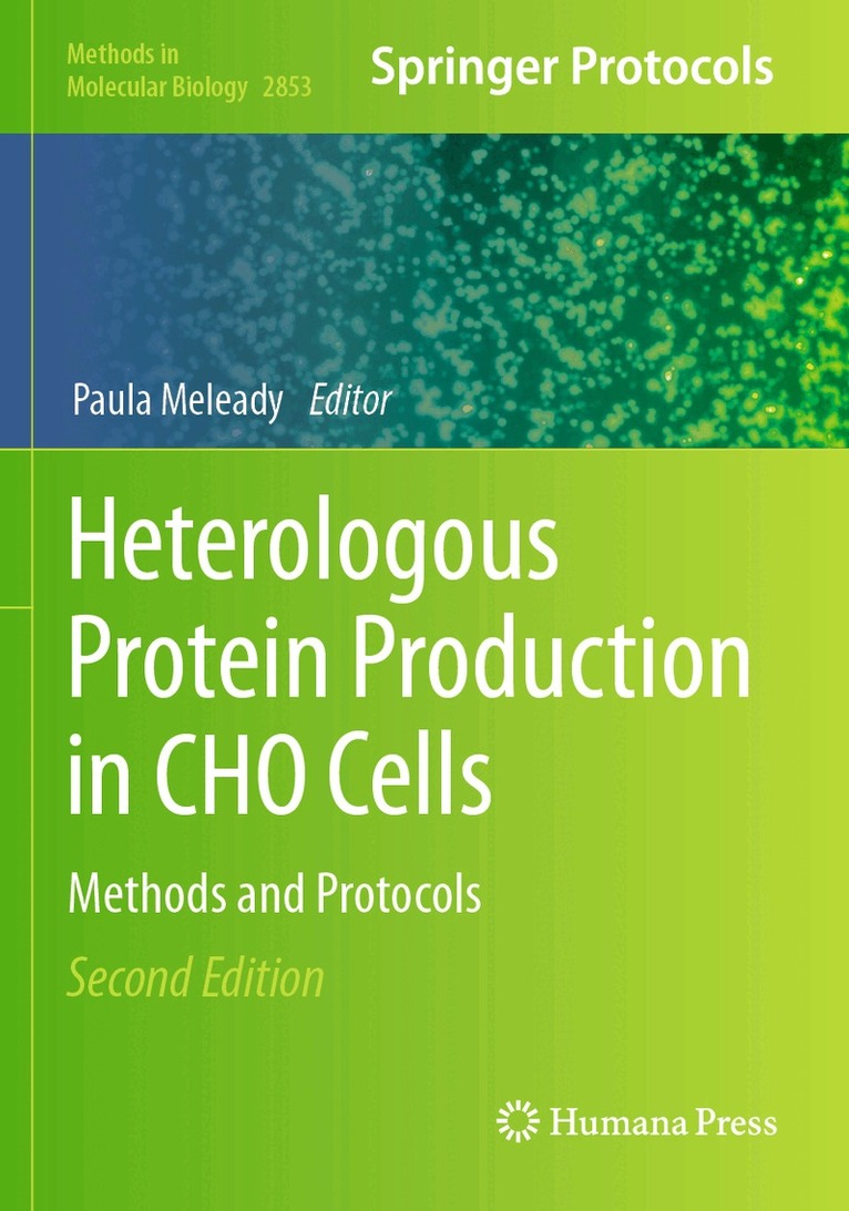 Paula Meleady - Heterologous Protein Production in CHO Cells, Häftad