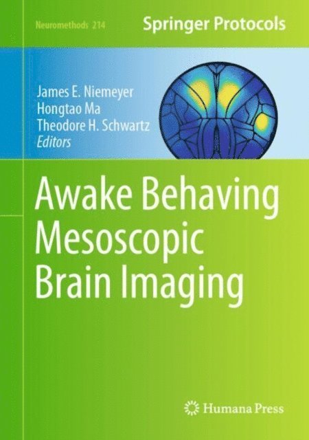 Theodore H. Schwartz, Hongtao Ma, James E. Niemeyer - Awake Behaving Mesoscopic Brain Imaging, E-bok