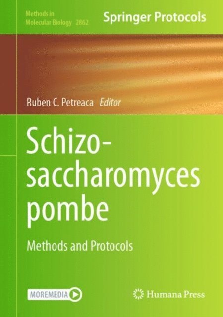 Ruben C. Petreaca - Schizosaccharomyces pombe, E-bok