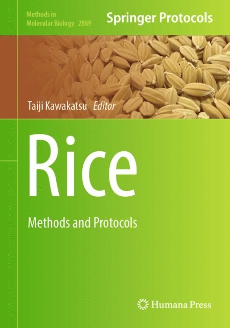 Taiji Kawakatsu - Rice, E-bok