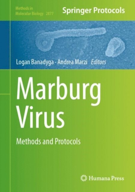 Andrea Marzi, Logan Banadyga - Marburg Virus, E-bok