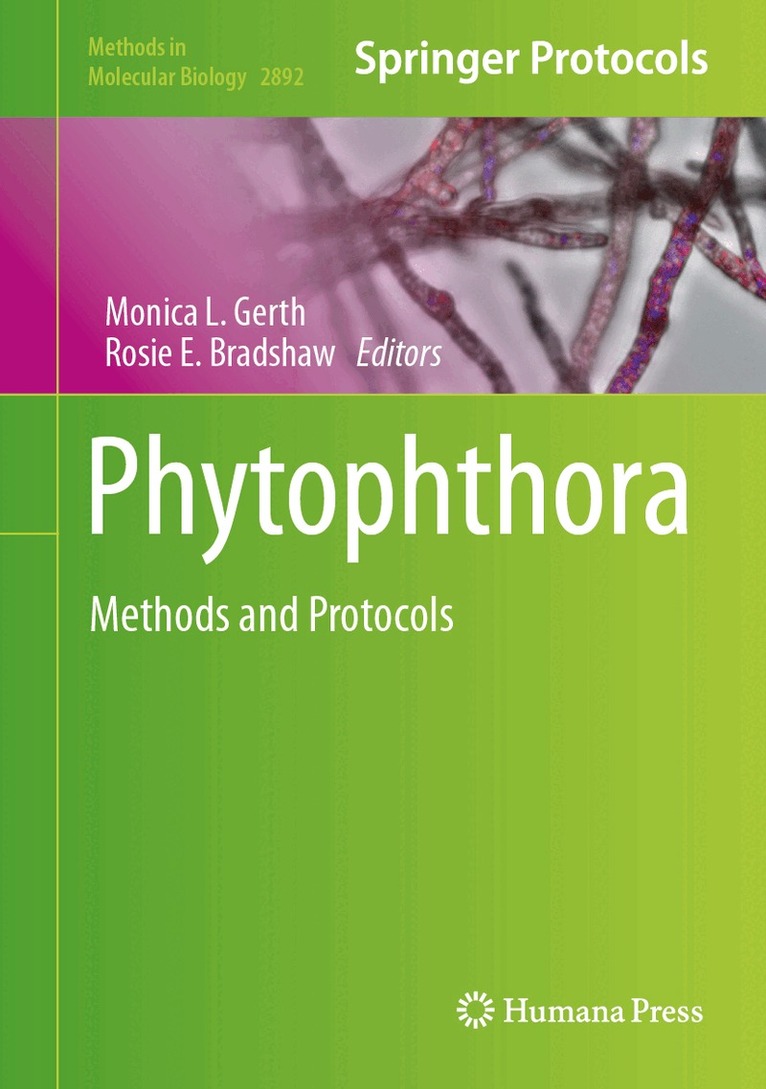 Monica L. Gerth, Rosie E. Bradshaw - Phytophthora, Inbunden