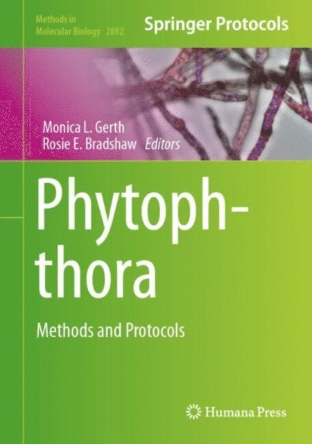 Rosie E. Bradshaw, Monica L. Gerth - Phytophthora, E-bok