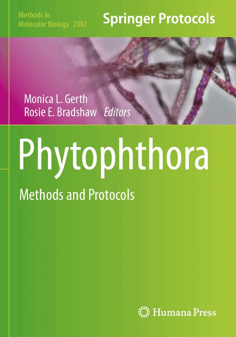 Monica L. Gerth, Rosie E. Bradshaw - Phytophthora, Häftad