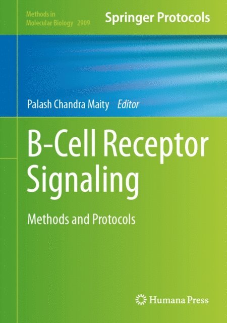 Palash Chandra Maity - B-Cell Receptor Signaling, E-bok