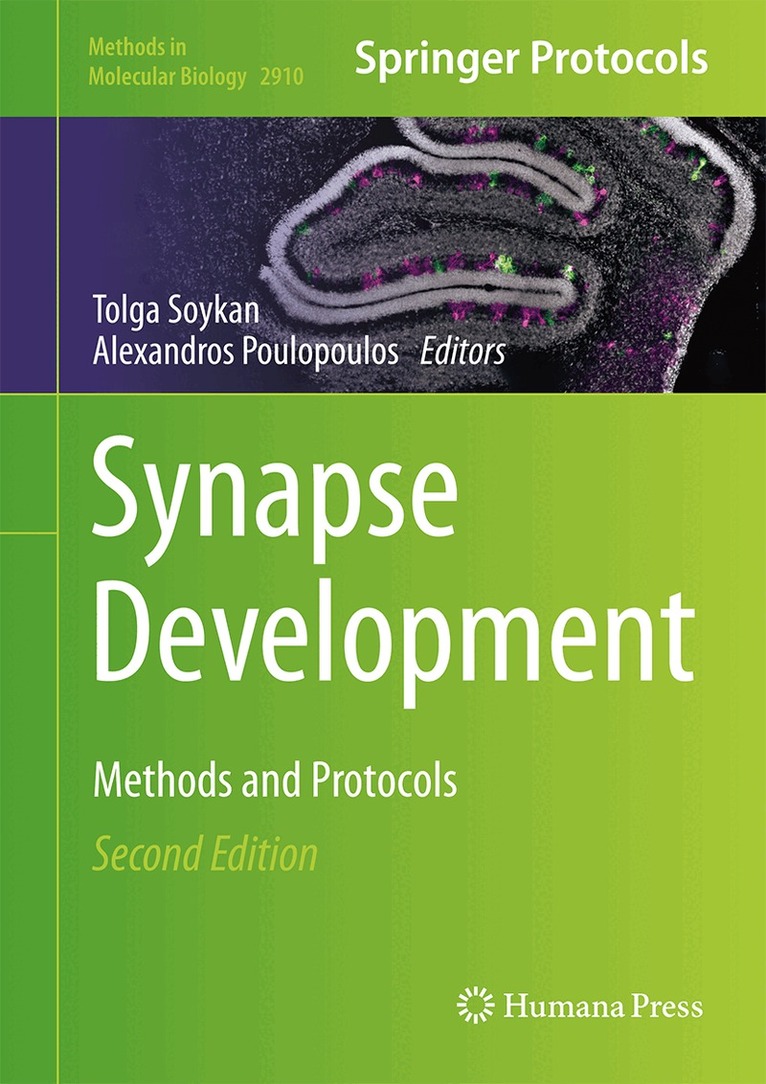 Tolga Soykan, Alexandros Poulopoulos - Synapse Development, Inbunden