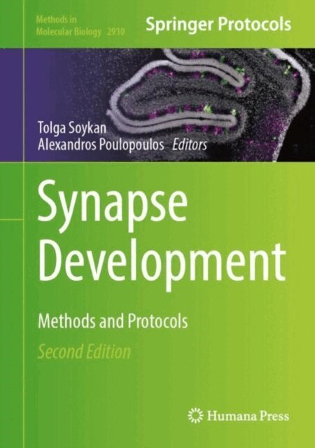 Alexandros Poulopoulos, Tolga Soykan - Synapse Development, E-bok