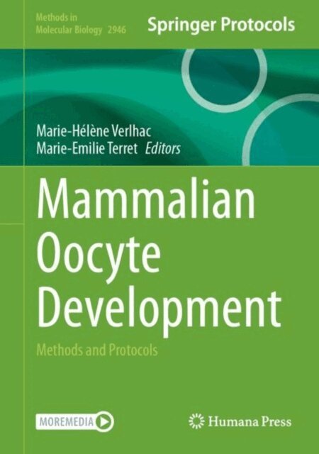 Marie-Emilie Terret, Marie-Helene Verlhac - Mammalian Oocyte Development, E-bok