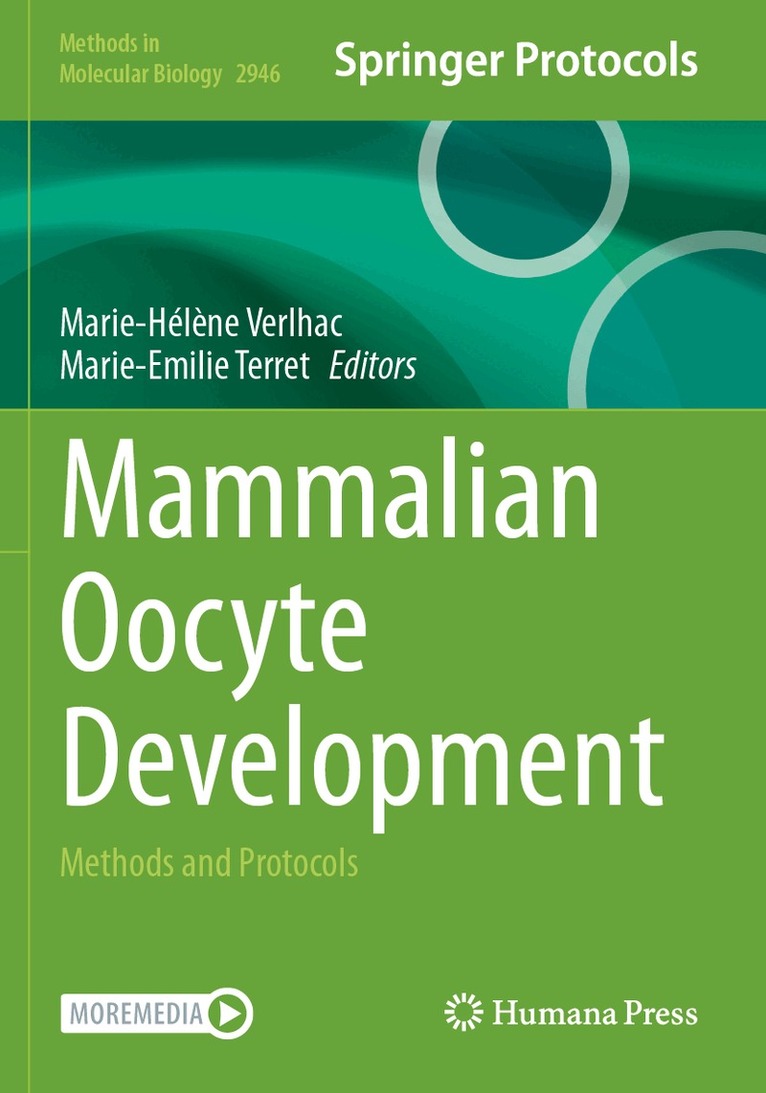 Marie-Hélène Verlhac, Marie-Emilie Terret - Mammalian Oocyte Development, Häftad