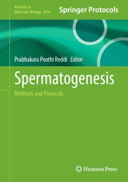 Prabhakara P. Reddi - Spermatogenesis, E-bok