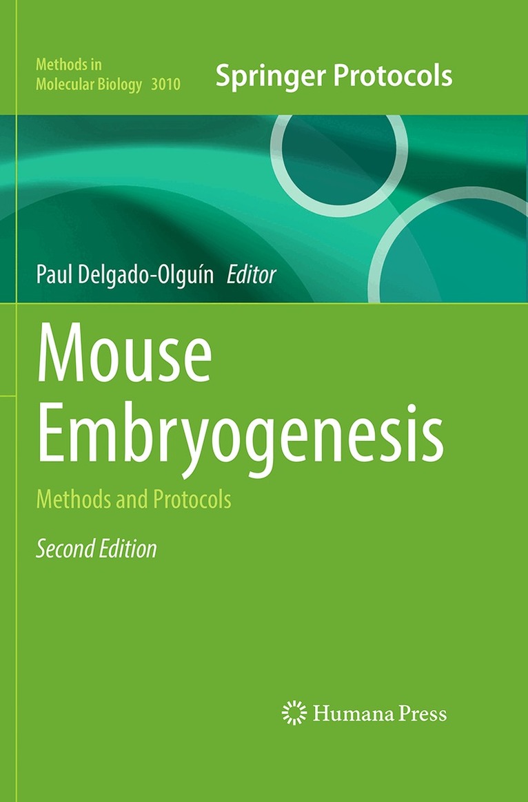 Paul Delgado Olguin - Mouse Embryogenesis, Inbunden