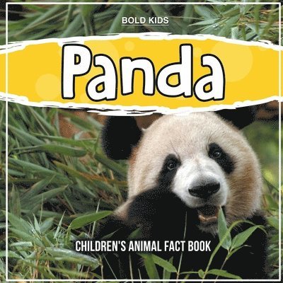 Bold Kids - Panda, Häftad