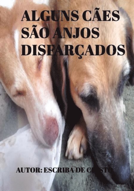 Escriba de Cristo - ALGUNS CÃES SÃO ANJOS DISFARÇADOS, E-bok