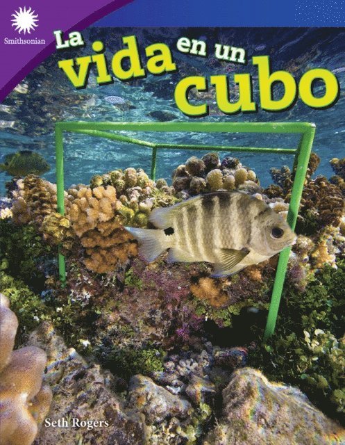 Seth Rogers - La vida en un cubo, E-bok