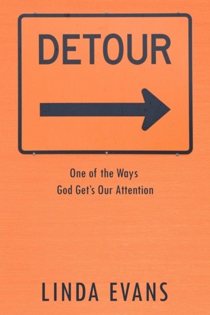 Linda Evans - Detour, E-bok