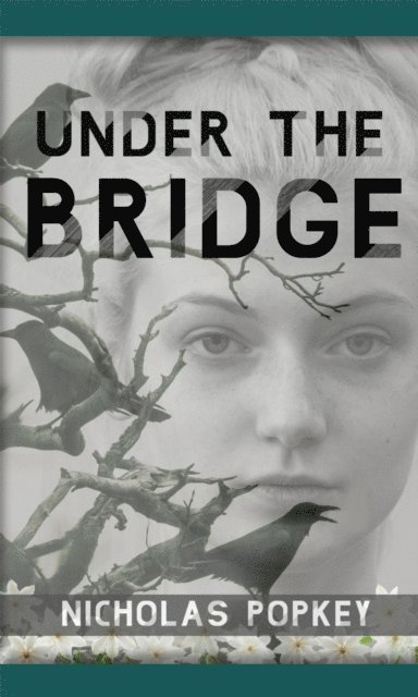 Nicholas Popkey - Under the Bridge, E-bok