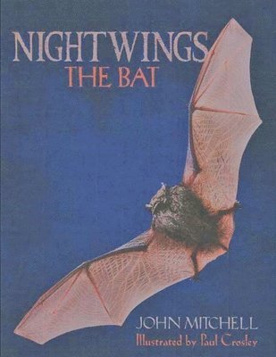 John Roy Mitchell - Nightwings The Bat, Häftad. Tillgänglighet: Lägg i varukorg