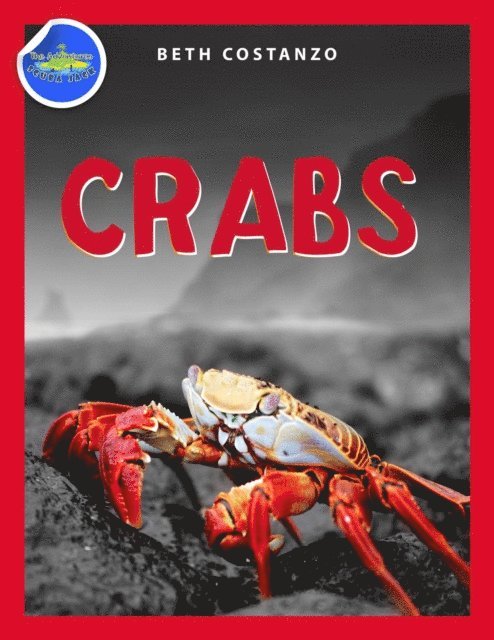 Beth COSTANZO - Crab Activity Workbook for Kids ages 4-8, E-bok
