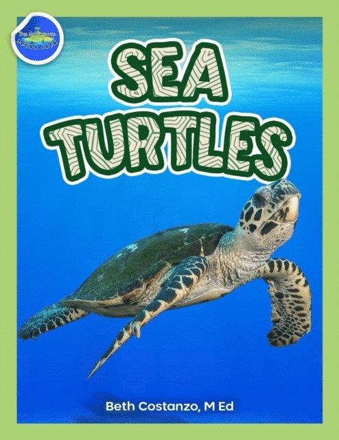 Beth Costanzo - Sea Turtles Activity Workbook ages 4-8, E-bok