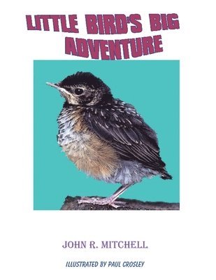 John Roy Mitchell, Crosley - Little Bird's Big Adventure, Häftad. Tillgänglighet: Lägg i varukorg