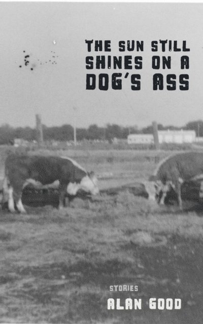 Alan Good - Sun Still Shines on a Dog's Ass, E-bok