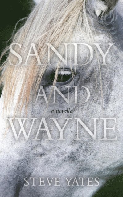 Steve Yates - Sandy and Wayne, E-bok