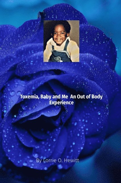 Lorrie O Hewitt - Toxemia, Baby, and Me  An Out of Body Experience, E-bok